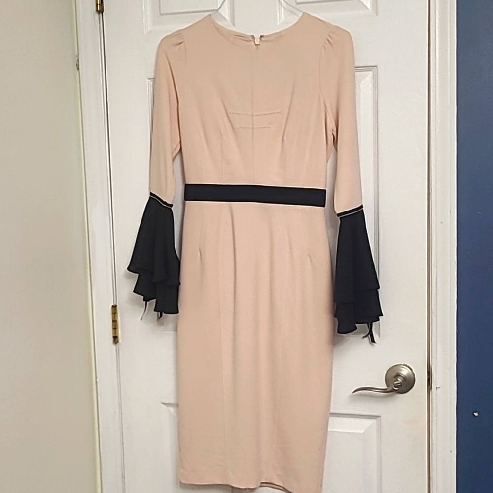 Eva Mendes New York and Company Pink Dress with Black Ribbon and Bell Sleeves